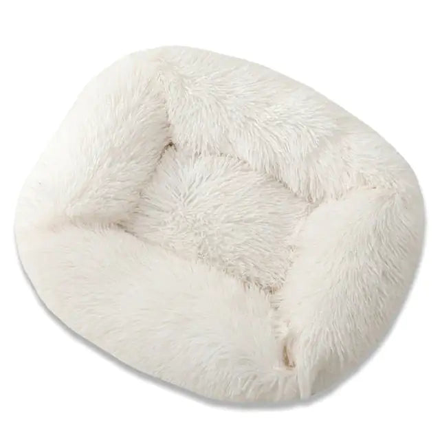 Luxury Plush Comfort Bed