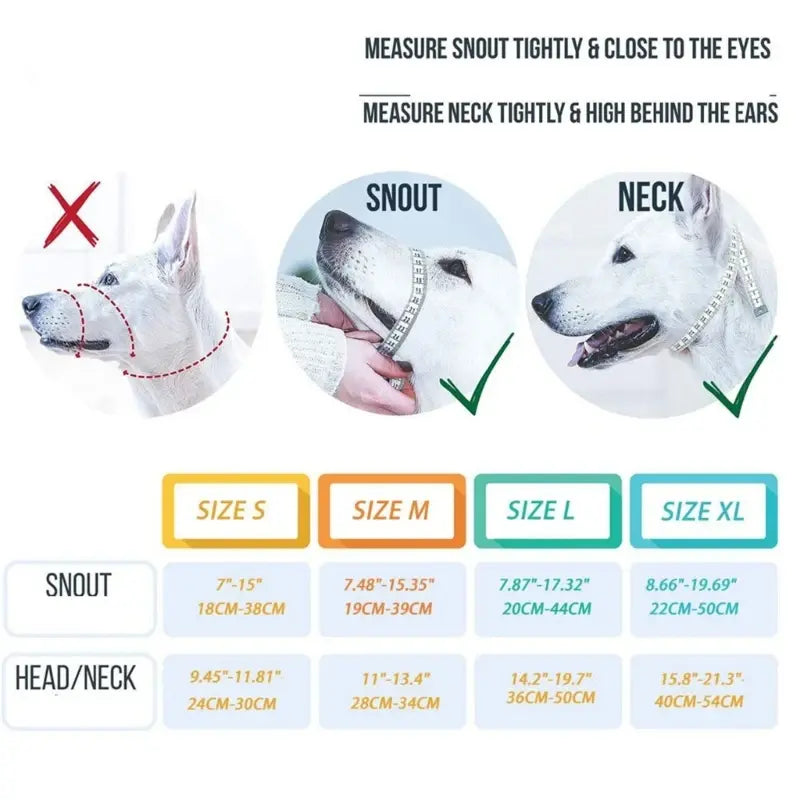 Smart Training Dog Collar - Comfort, Control & Confidence