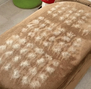 The Magic Brush™ - Buy 1 Get 1 Free