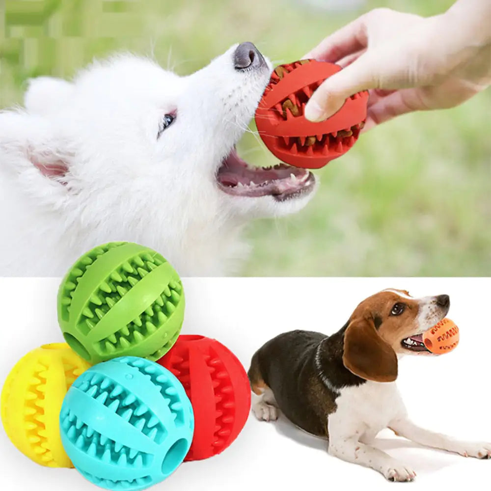 Reward Play Treat Ball