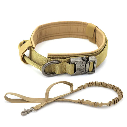 Adjustable Dog Collar