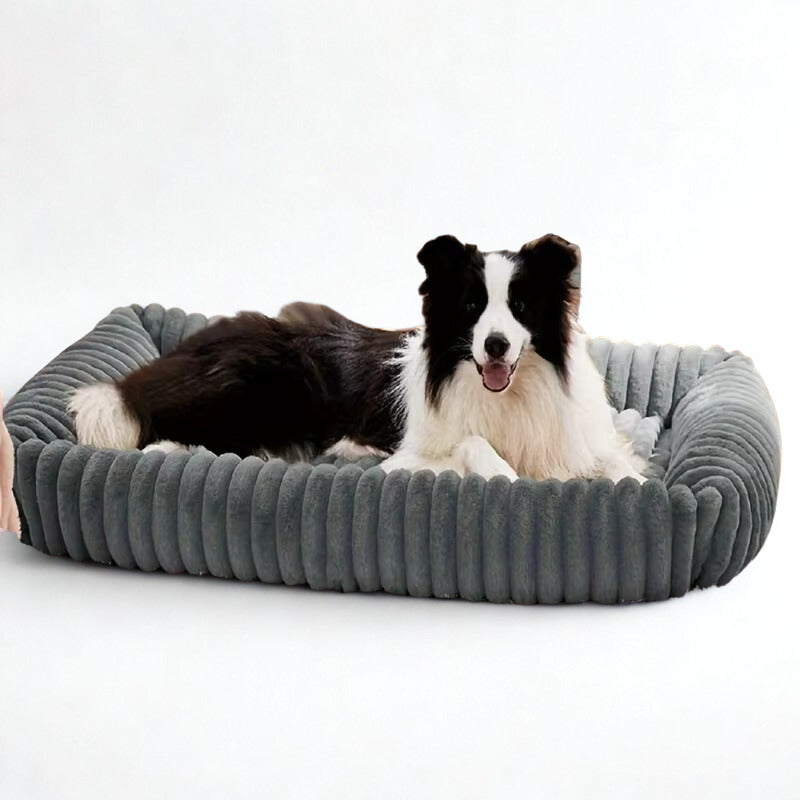 Orthopedic Plush Dog Bed