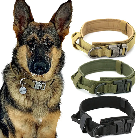Adjustable Dog Collar