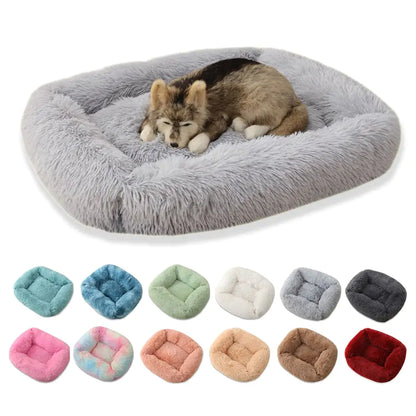 Luxury Plush Comfort Bed