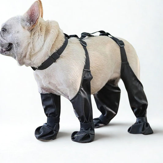 Anti-Slip Dog Shoes