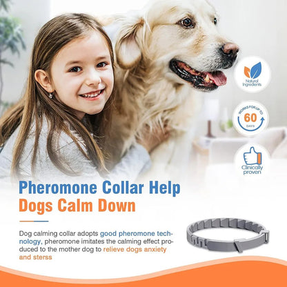 Stress-Free Calming Pheromone Collar for Dogs & Cats