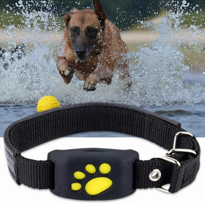 Smart GPS Tracking Collar - App Controlled